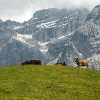 val algone -alpeggi - Mintha V