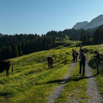 val algone -alpeggi movlina - Mintha V (2)