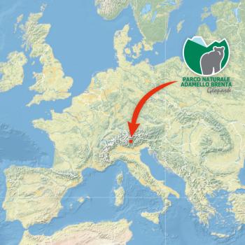europe_pnab_Tavola-disegno-1