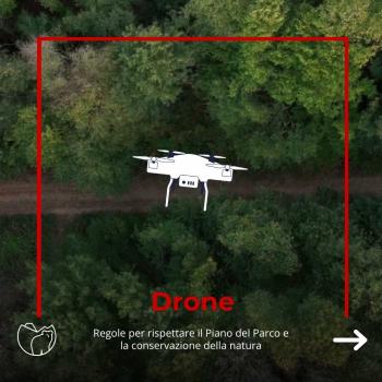 Drone (1) Drone (1)