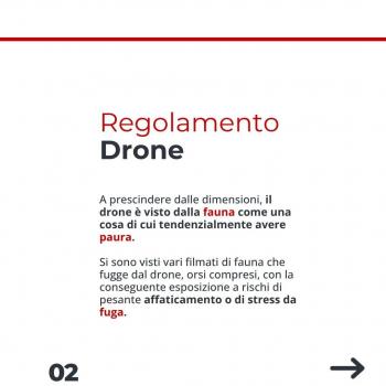 Drone (3) Drone (3)