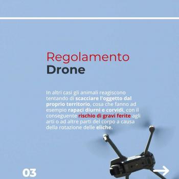 Drone (4)