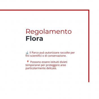 Flora (6)