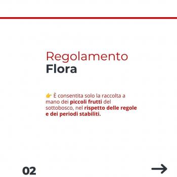 Flora (3)