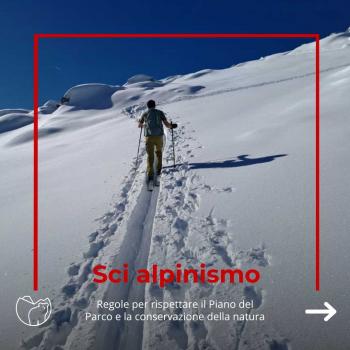 Sci alpinismo (1)