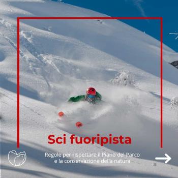 Sci fuoripista (1)