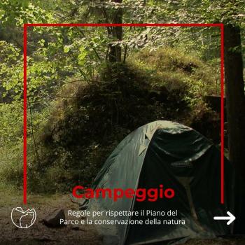 Campeggio (1)