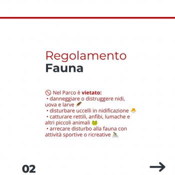 Fauna (3) Fauna (3)