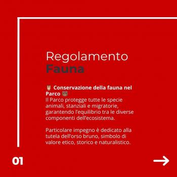 Fauna (2)