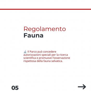 Fauna (6) Fauna (6)
