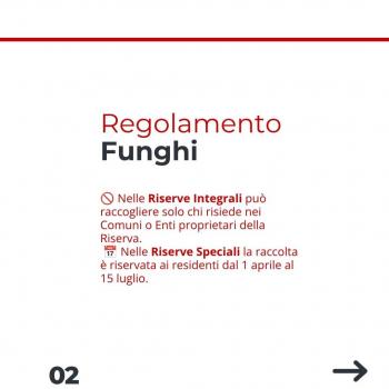 Funghi (3) Funghi (3)