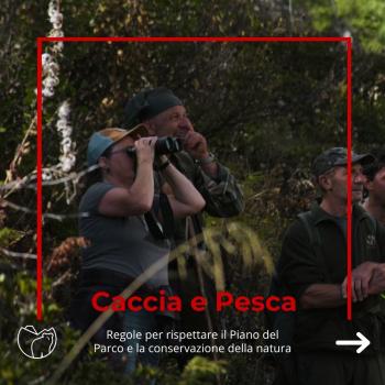 Caccia e pesca (1)
