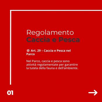 Caccia e pesca (2)