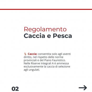Caccia e pesca (3)