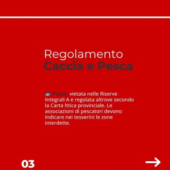Caccia e pesca (4)