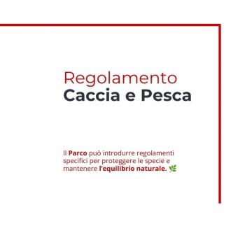 Caccia e pesca (5)