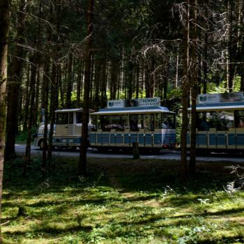 Mobilità_trenino MinthaV