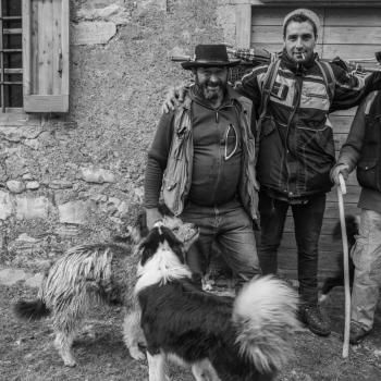 Mostra transumanza di Mario Paolazzi 3