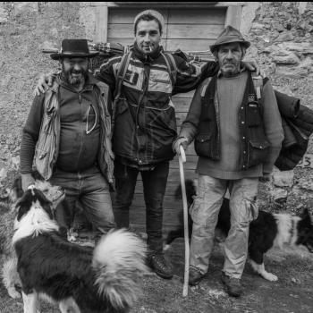 Mostra transumanza di Mario Paolazzi 3 Mostra transumanza di Mario Paolazzi 3