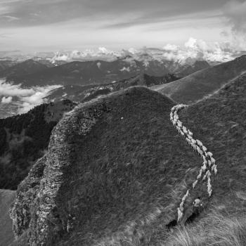 Mostra transumanza di Mario Paolazzi 7 Mostra transumanza di Mario Paolazzi 7