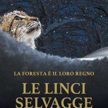 FdO4 Le linci selvagge