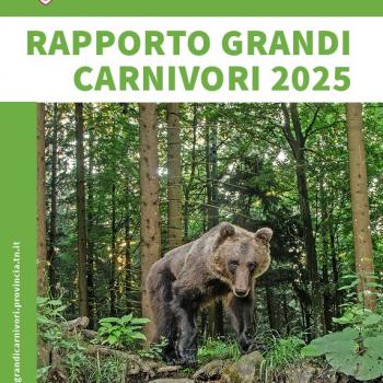Fdo 8 Grandi carnivori tn Fdo 8 Grandi carnivori tn