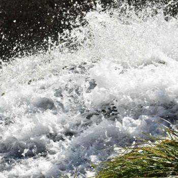 rio bianco - cascata - Michele Z rio bianco - cascata - Michele Z