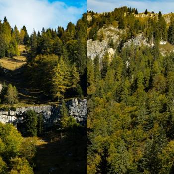 Autunno_Mintha