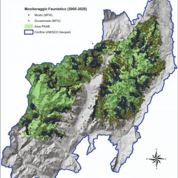 MonitoraggioFaunistico 2005-2025 MonitoraggioFaunistico 2005-2025